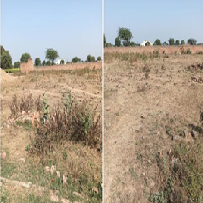 RAHMAT AGRO COMPANY-22052502